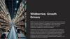 Wildberries: Growth Drivers