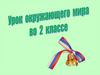 Дикие и домашние животные. Урок окружающего мира во 2 классе