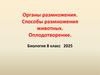 Органы размножения. Способы размножения. Оплодотворение