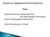 Медицинская протозоолгия