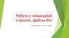Работа с командной строкой, файлы бат. Операционные системы и среды