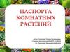 Паспорта комнатных растений