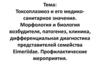 Токсоплазмоз и его медико-санитарное значение. Морфология и биология возбудителя, патогенез, клиника
