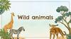 Wild animals