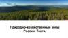Природно - хозяйственные зоны России. Тайга