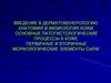 Введение в дерматовенерологию. Анатомия и физиология кожи. Основные патогистологические процессы в коже