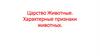 Царство Животные. Характерные признаки животных