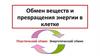 Обмен веществ и превращения энергии в клетке