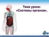 Системы органов. Строение. Функции