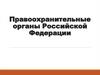 Правоохранительные органы Российской Федерации