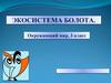 Экосистема болота  (3 класс)