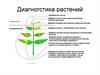 Диагностика растений
