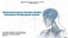 Неврогенная группа: Гипофиз, Эпифиз Гипоталамо-гипофизарная система