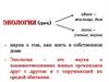 Экология. Среда обитания