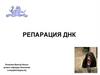 Репарация ДНК
