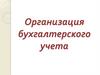 Организация бухгалтерского учета