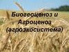 Биогеоценоз и агроценоз (агроэкосистема)
