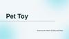 Pet Toy