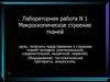 Микроскопическое строение тканей