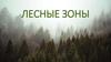 Лесные зоны