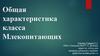 Общая характеристика класса Млекопитающих  (8 класс)