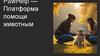 PawHelp — Платформа помощи животным