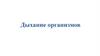 Дыхание организмов