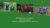 Проведение поисково-спасательных работ в болотистой местности