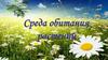 Среда обитания растений