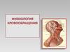 Физиология кровообращения