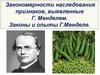 Закономерности наследования признаков, выявленные Г. Менделем. Законы и опыты Г. Менделя
