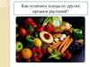 Как отличить плоды от других органов растений?