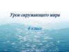 Крупнейшие реки России