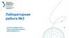 Уральский федеральный университет. Лабораторная работа № 3