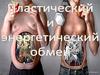 Пластический и энергетический обмен