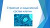 Строение и химический состав клетки. Уровни организации жизни