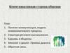 Коммуникативная сторона общения