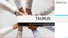 TAURUS. Ваш помощник в цифровой трансформации