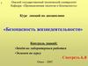 Безопасность жизнедеятельности