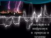 Ультразвук и инфразвук в природе и технике