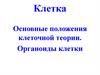 Основные положения клеточной теории. Органоиды клетки
