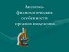 Анатомо - физиологические особенности органов выделения
