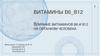 Влияние витаминов B6 и B12 на организм человека