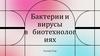 Бактерии и вирусы в биотехнологиях