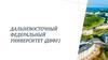 Дальневосточный федеральный университет (ДВФУ)