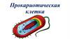 Прокариотическая клетка  (7 класс)