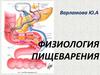 Физиология пищеварения. Пищеварение в различных отделах