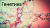 Генетика. Ген