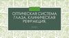 Оптическая система глаза. Клиническая рефракция