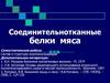 Соединительнотканные белки мяса